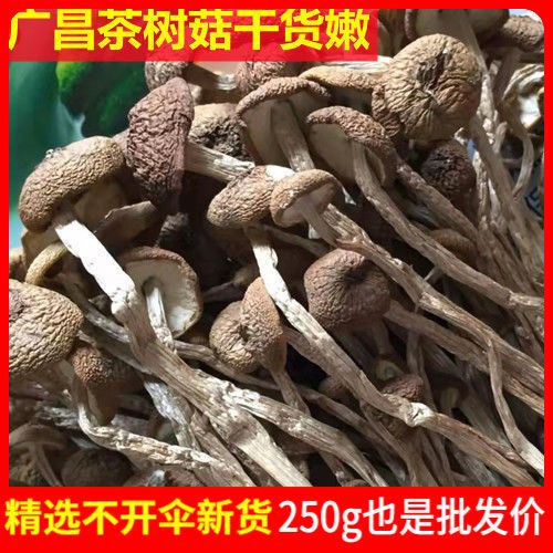 广昌茶树菇茶树菇礼品袋当年新货