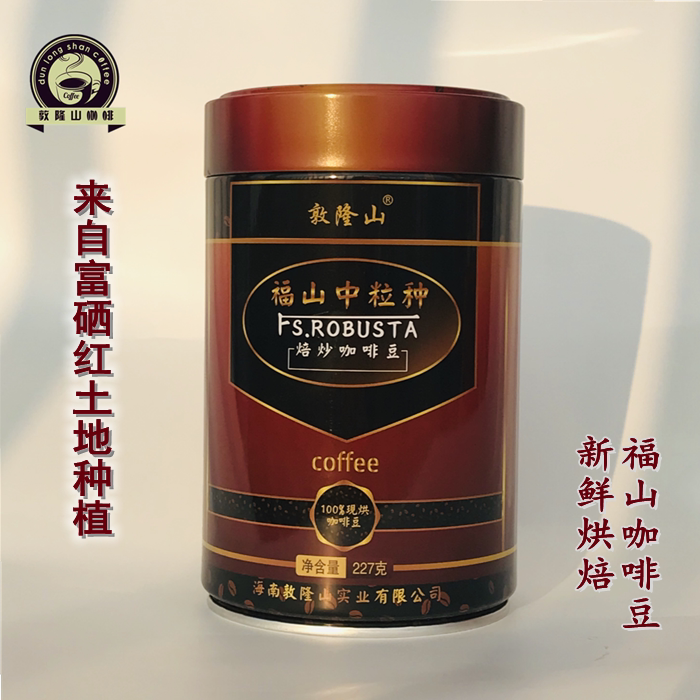 海南特产 福山咖啡敦隆山咖啡中粒咖啡豆一罐/227克