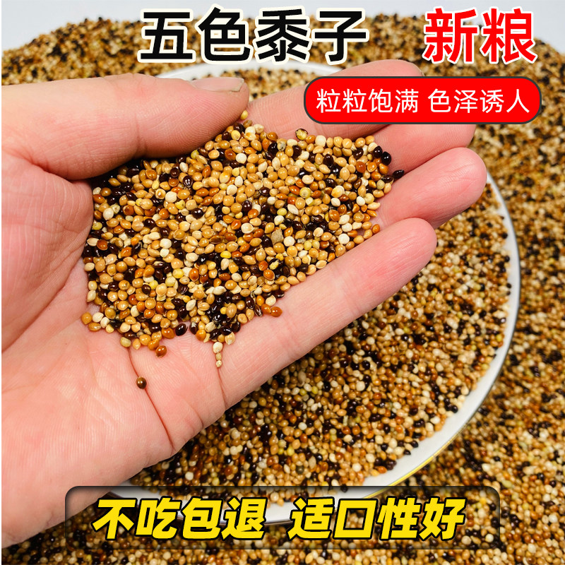 新粮鹦鹉混合粮鸟粮鸟食五色黍子