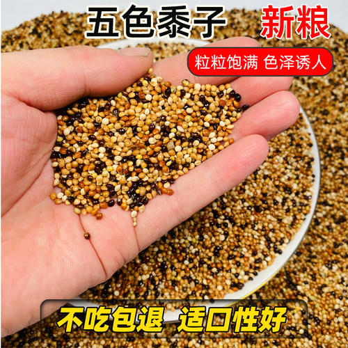 新粮鹦鹉混合粮鸟粮鸟食五色黍子