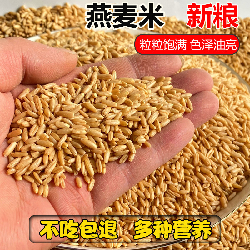 燕麦米鹦鹉粮虎皮牡丹玄凤中大型鹦鹉燕麦鸟食饲料小太阳和尚鸟粮图片