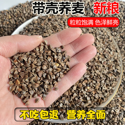 荞麦 鹦鹉鸟粮饲料仓鼠豚鼠龙猫宠物粮食 带壳荞麦中大型鸟食鸽粮