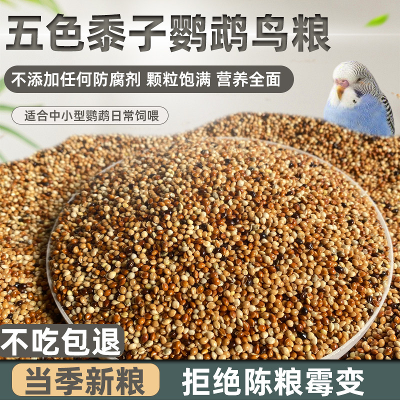 鸟粮虎皮牡丹鹦鹉鸟食五色黍子