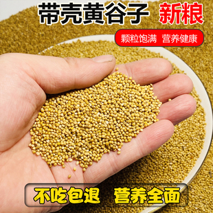 新黄谷子带壳小米鸟粮牡丹虎皮玄凤食物中小型鹦粮鹉饲料5斤包邮