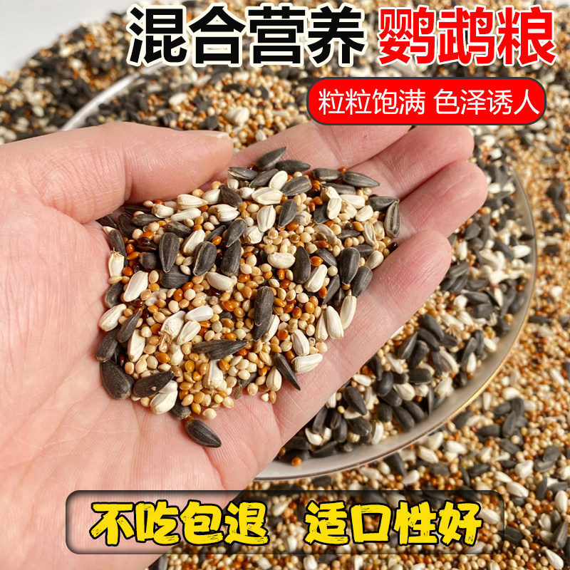 中小型鹦鹉混合营养粮