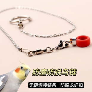 不锈钢鹦鹉脚链虎皮牡丹玄凤训鸟脖套鹦鹉开口脚环护腿鸟链子