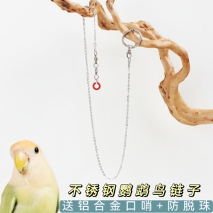 鹦鹉脚链防飞不锈钢虎皮牡丹玄凤训鸟防咬护腿防丢开口脚环鸟链子
