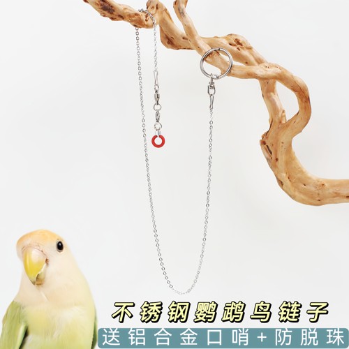 鹦鹉脚链防飞不锈钢虎皮牡丹玄凤训鸟防咬护腿防丢开口脚环鸟链子