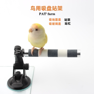 不锈钢鹦鹉磨爪棒墙面玻璃吸盘站杆鸟用磨爪站杠磨指甲磨嘴磨砂棍