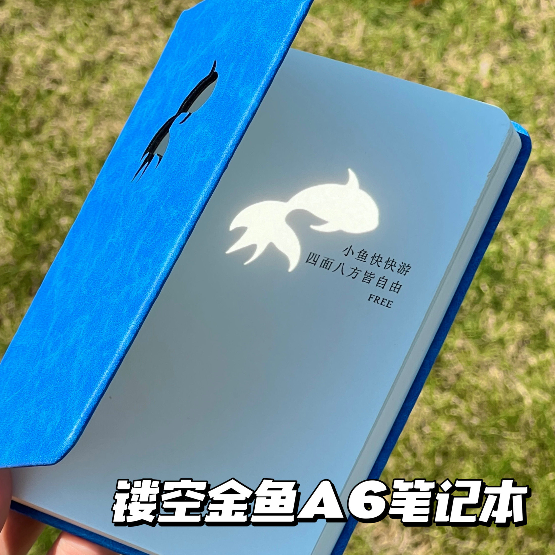 “像鱼儿一样自由”镂空笔记本