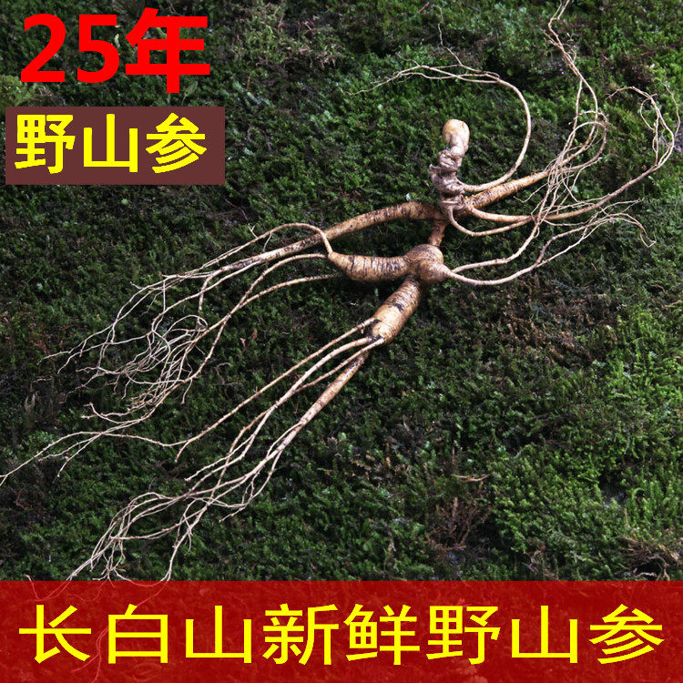 长白山人参东北特产野生新鲜人参吉林人参20年以上野山参