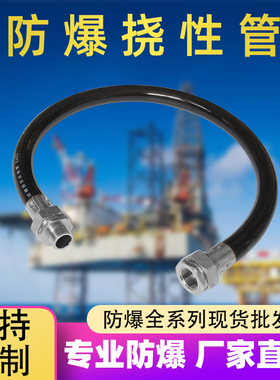 防爆软管DS-1677ZJ-XS-1.0同款6分管G3/4软管穿线连接DN20挠性管