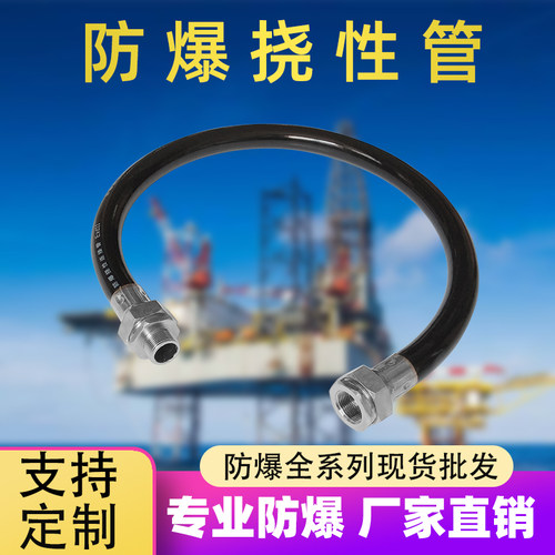 防爆软管DS-1677ZJ-XS-1.0同款6分管G3/4软管穿线连接DN20挠性管 - 封面