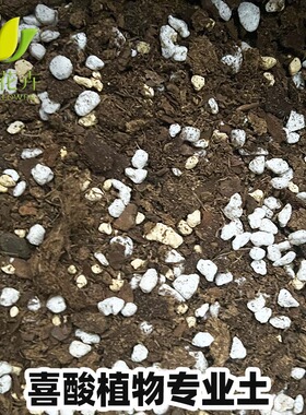 自配KLASMANN-K牌933喜酸植物土适合绣球茶花茉莉土杜鹃蓝莓酸性