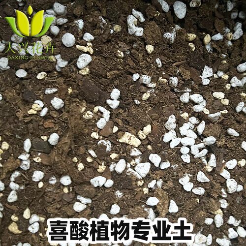 喜酸植物土杜鹃茉莉蓝莓茶花适用