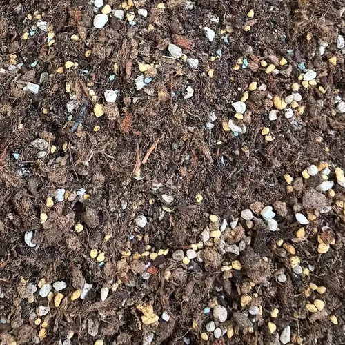 玫瑰营养土绣球铁线莲花卉通用