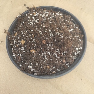 自配通用土 营养土 粗颗粒 花卉 室内绿植 进口泥炭 块状泥炭丰富