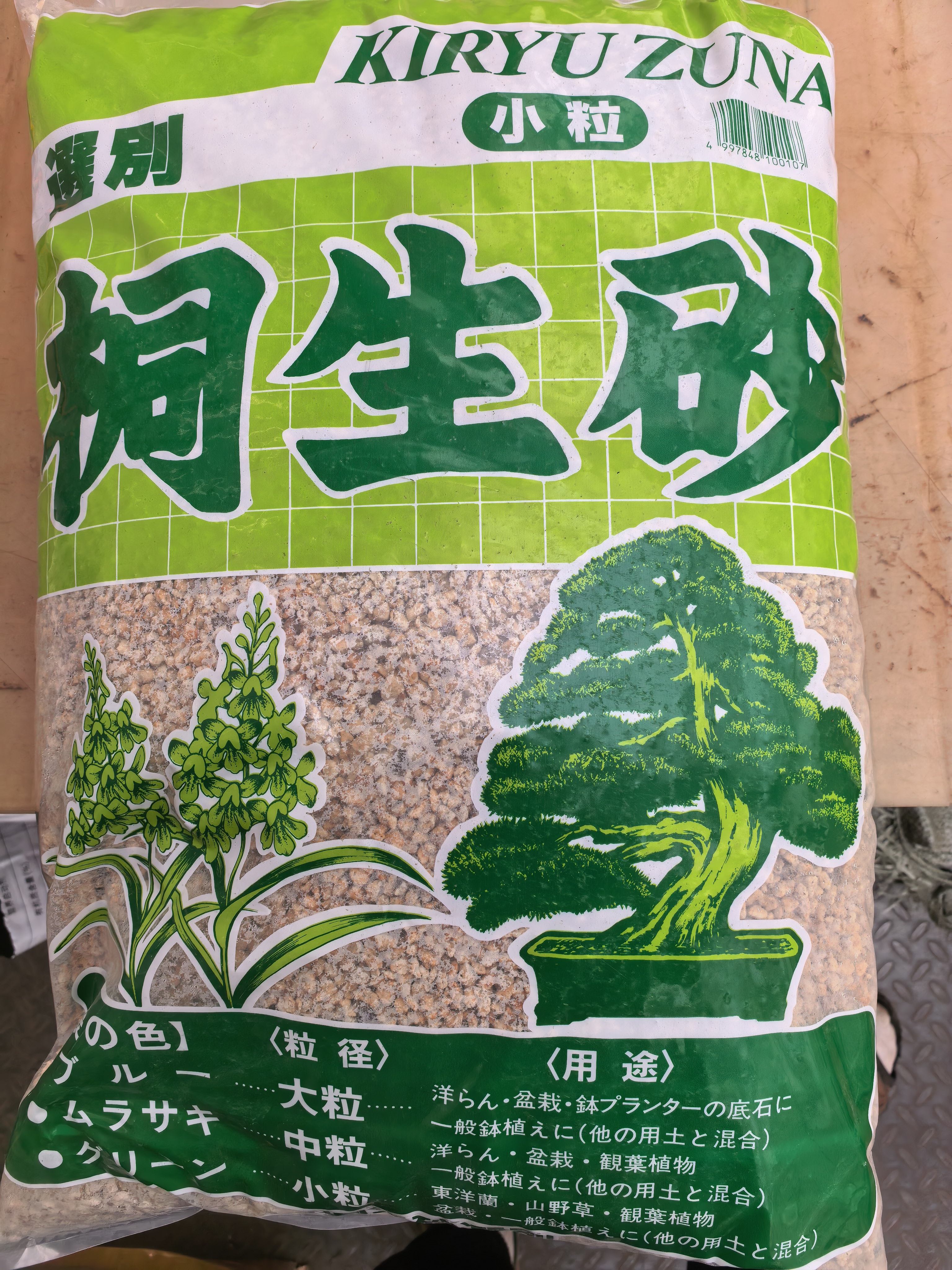 桐生砂盆景多肉块根热植图片