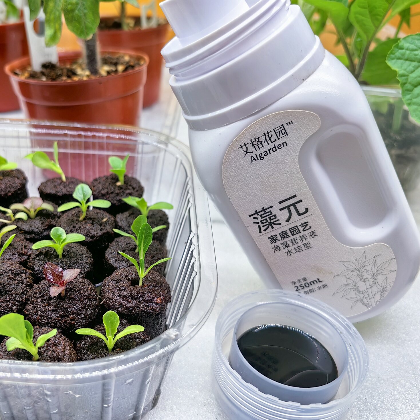 水培型雷力艾格花园海藻营养液3毫升兑水6升送滴管海藻肥有登记证