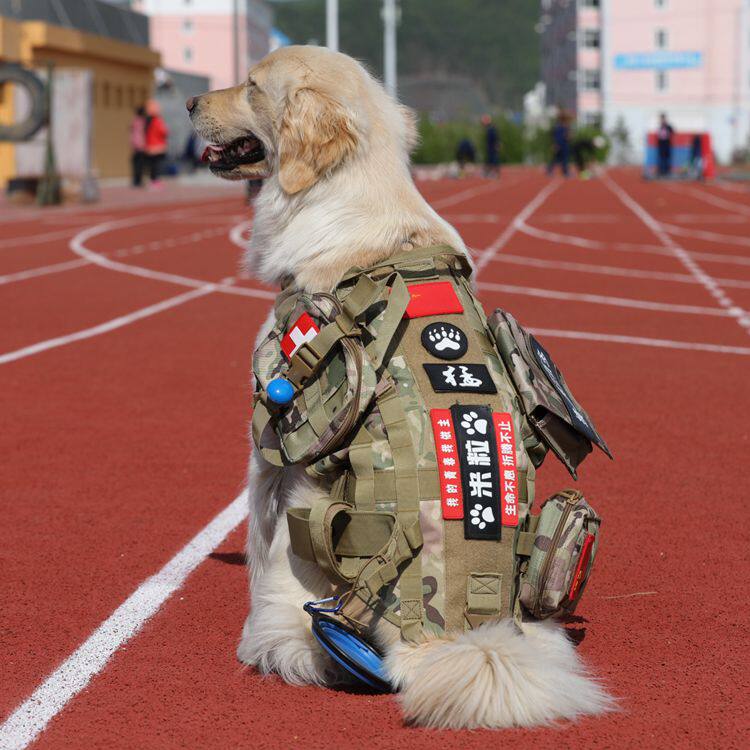 中大型犬战术狗背心金毛杜宾衣服