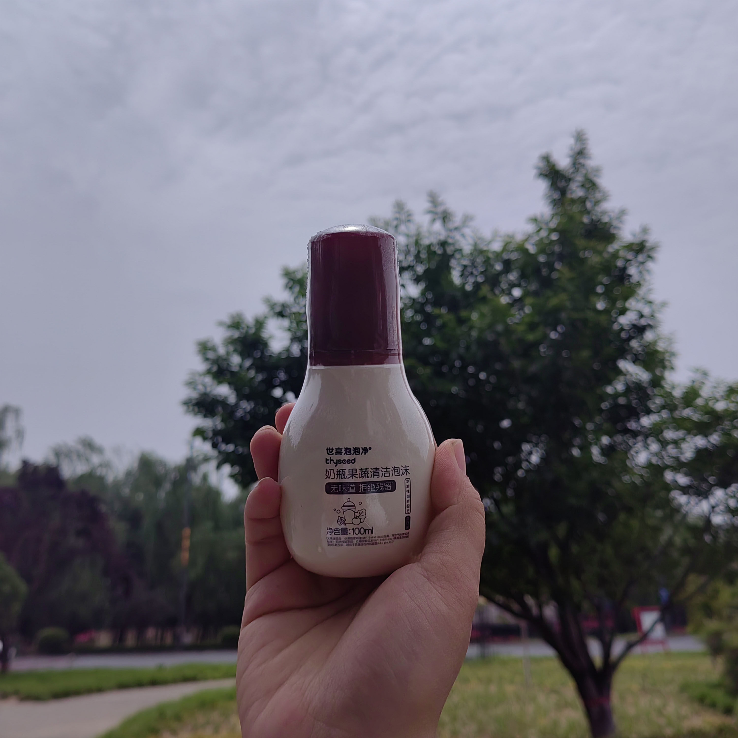 世喜洗奶瓶清洁剂婴儿专用果蔬清洗剂液刷便携装泡泡净宝宝洗洁精,婴童用品,奶瓶刷/奶嘴刷,淘宝优惠券,粉丝福利购,淘宝优惠卷