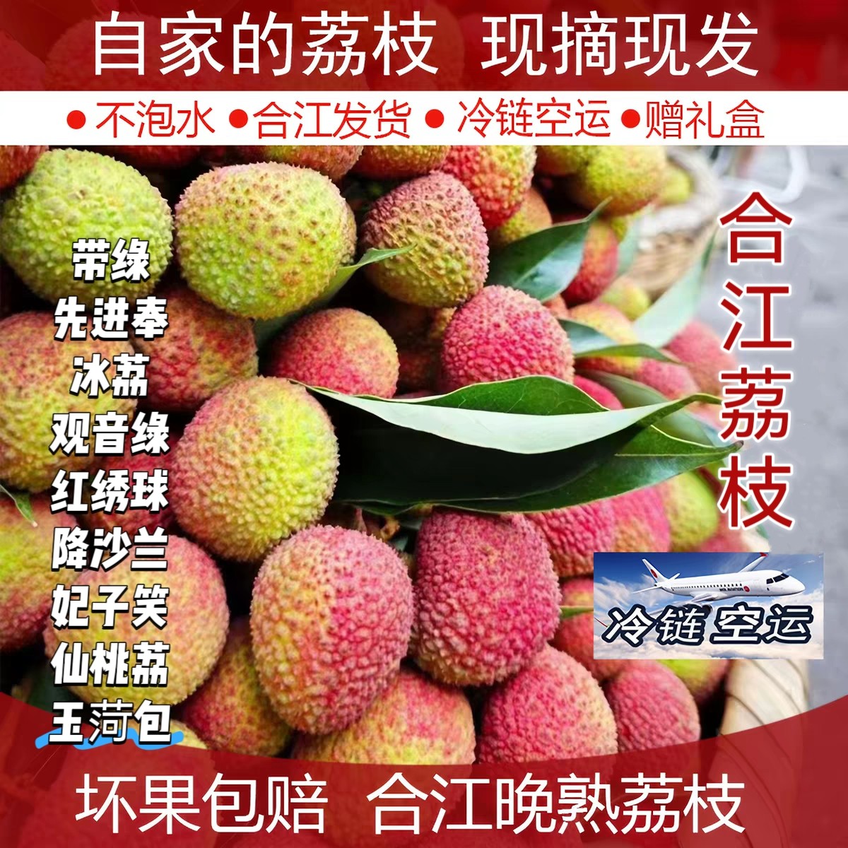 合江荔枝新鲜晚熟现摘现发顺丰甜