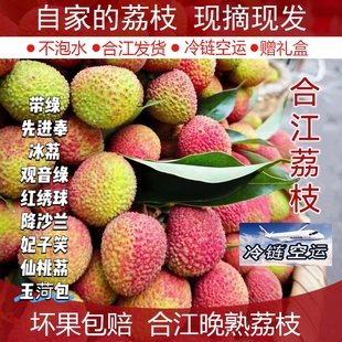 四川泸州合江荔枝妃子笑带绿大红袍降沙兰荔枝新鲜现摘冷链空运