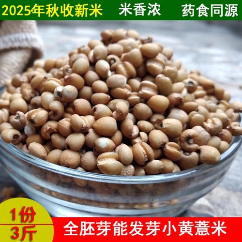 2025新米贵州黄薏米500克*3袋薏仁米小粒五谷米杂粮黄薏苡仁