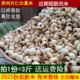 2025年新米脱壳薏仁米3斤白薏仁薏米贵州小薏米仁五谷杂粮
