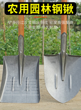 钢锹灰色轨道刚铁锨淬火锰钢铲园林木柄植树铲子户外尖方煤农用锹