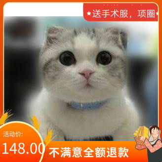 绝育手术宠物医生上门北京绝育