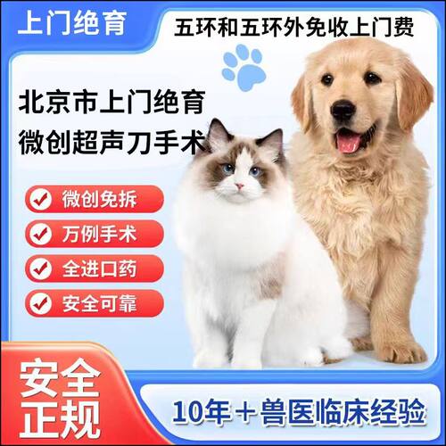 北京猫绝育母猫绝育手术 公猫绝育宠物医生团队上门送伊丽莎白圈