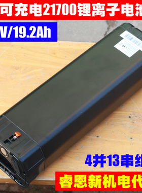 Reention48V/20Ah电动车锂电池组 E-bike Li-ion battery WDDM-YH