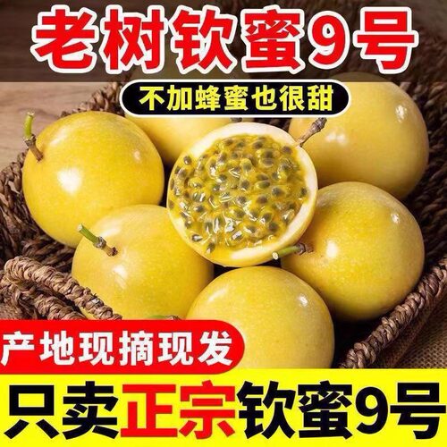 黄金百香果纯甜9号百香果
