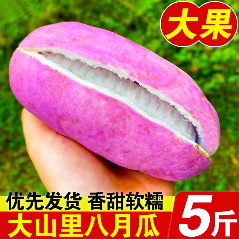 【正宗福建八月瓜】新鲜八月炸野果应季甜瓜非九月黄麻藤包牛卵坨