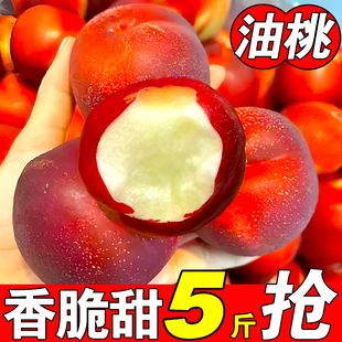 【现货】智利进口油桃新鲜大桃子应季孕妇水果香甜脆多汁白肉蜜桃