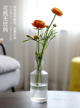 透明水养描金摆件客厅玻璃花瓶