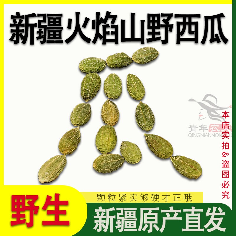 新疆吐鲁番野西瓜500g火焰山野生火焰果小西瓜正品新货特产泡酒料