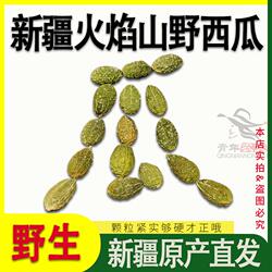 新疆吐鲁番野西瓜500g火焰山野生火焰果小西瓜正品新货特产泡酒料