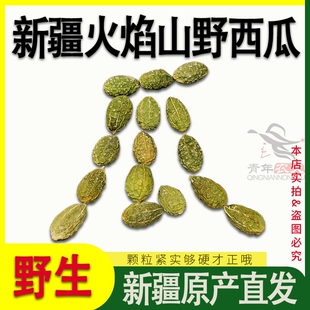 新疆吐鲁番野西瓜500g火焰山野生火焰果小西瓜正品新货特产泡酒料