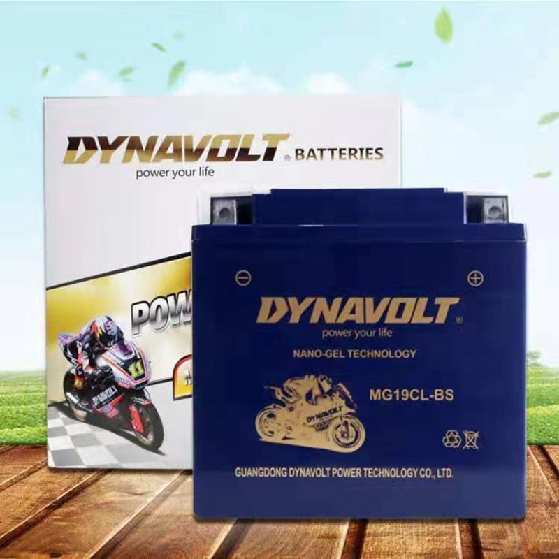 庞巴迪猛狮摩托艇电瓶国产雄狮铅酸电池适用于prk90至300厂家直销