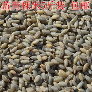 新货包邮西藏产蓝青稞米五斤装 裸大麦元麦米大麦青稞麦仁2.5kg