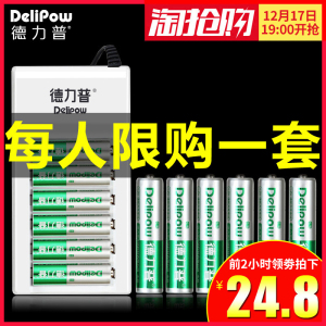 24.8元包邮 德力普 602充电套装 5号/7号通用充电器 +配12节