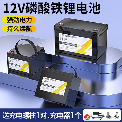 德力普12v锂电池组大容量