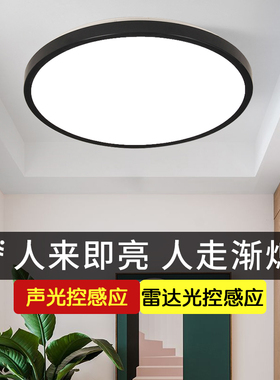led感应吸顶灯声控楼道楼梯过道家用入户走廊自动雷达人体感应灯