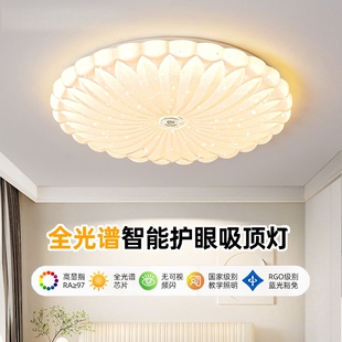 奶油风卧室灯主卧吸顶灯2026年新款 现代简约星空灯具网红房间灯