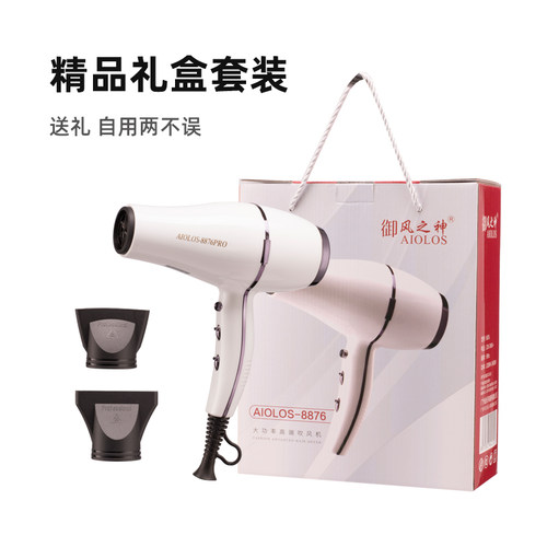 AIOLOS大功率理发店专用吹风机