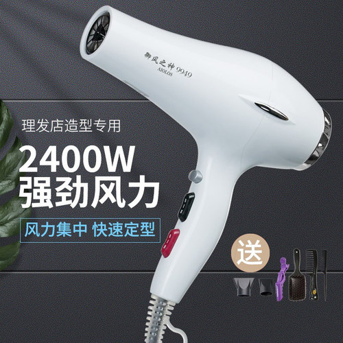 定型家用电吹风机发廊不伤发