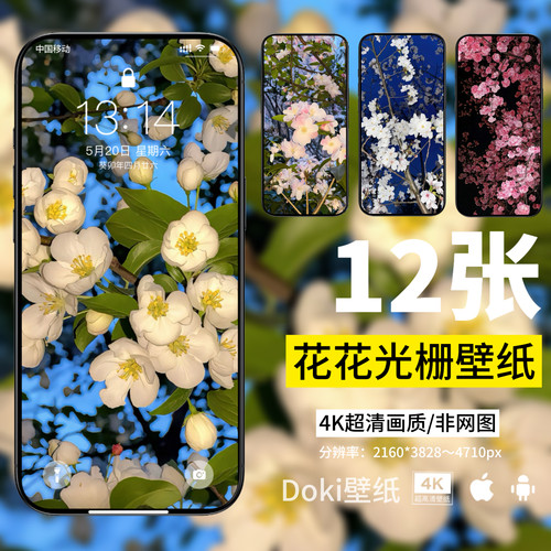 Doki12张樱花花朵光栅壁纸4K高清景深vivo手机originos6壁纸oppo