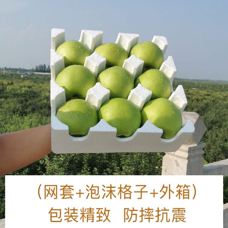 正宗苏翠一号梨新鲜梨子酥脆一号苹果梨新鲜水果现摘黄河古道梨园